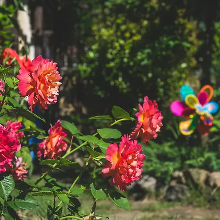 Santa Marina Village