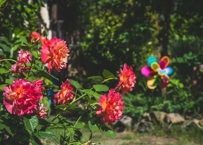 Santa Marina Village